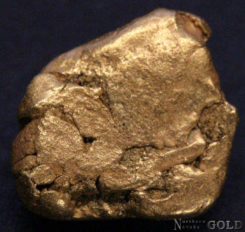 gold_nugget_5404