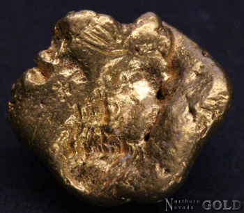 gold_nugget_5409