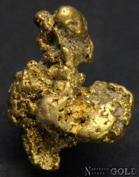 gold_nugget_5410-b