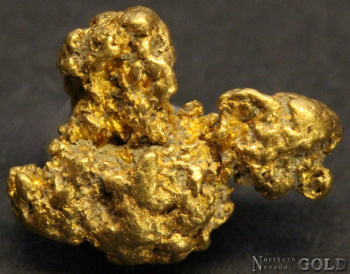 gold_nugget_5410