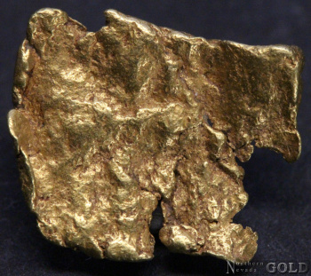 gold_nugget_5412