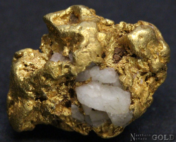 gold_nugget_5413