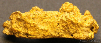 gold_nugget_5543