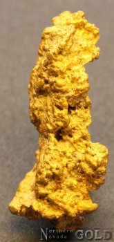 gold_nugget_5543b
