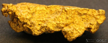 gold_nugget_5543c