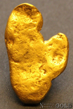 gold_nugget_5544