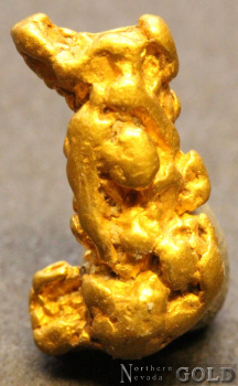 gold_nugget_5545b