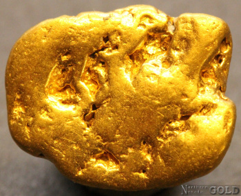 gold_nugget_5546