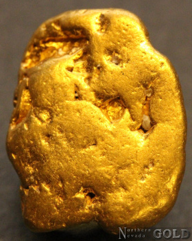 gold_nugget_5546b