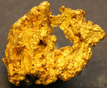gold_nugget_5547