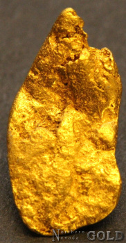 gold_nugget_5551b