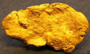 gold_nugget_5552