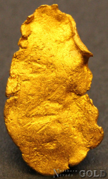 gold_nugget_5552b