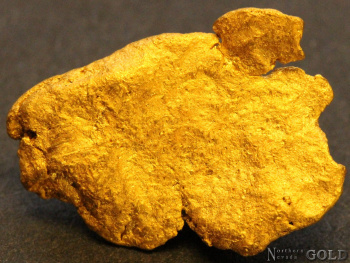 gold_nugget_5554