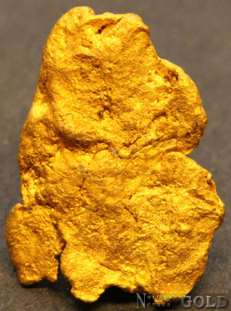 gold_nugget_5554b