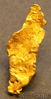 gold_nugget_5572b