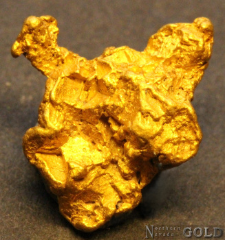 gold_nugget_5573b