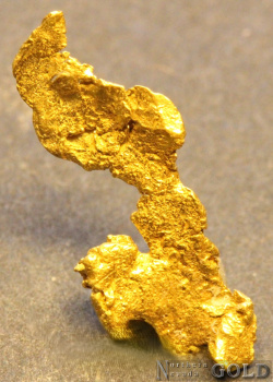 gold_nugget_5576b_1458614170