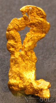 gold_nugget_5578b_535686423