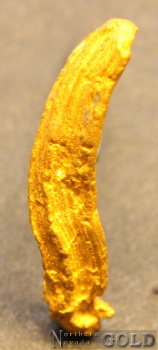 gold_nugget_5579b