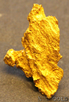 gold_nugget_5581b