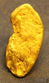 gold_nugget_5584b_454824164