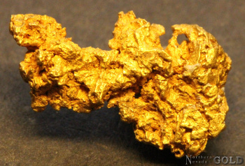 gold_nugget_5585_1719123914