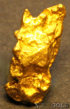 gold_nugget_5589b