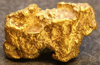 gold_nugget__5662mnh