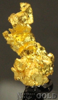 gold_specimen_3926roch-b