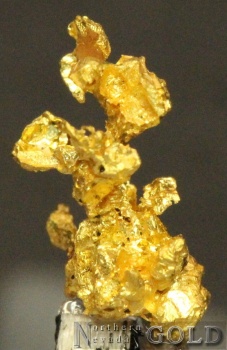 gold_specimen_3926roch-c