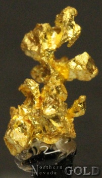 gold_specimen_3926roch