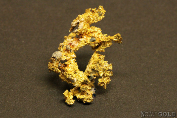 gold_specimen_4694-b