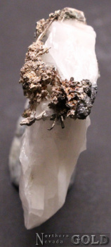 silver_specimen_4849-b