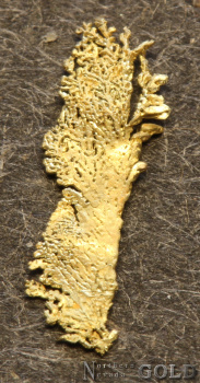 specimen_gold_4-b