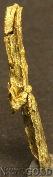 specimen_gold_4395-d