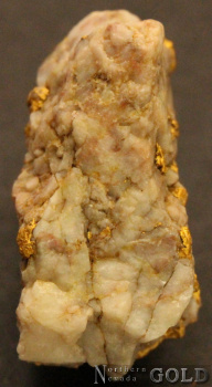 specimen_gold_4420-b