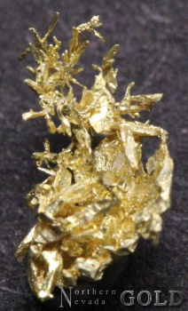 specimen_gold_4773-c