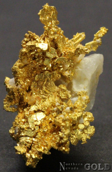 specimen_gold_4791-c
