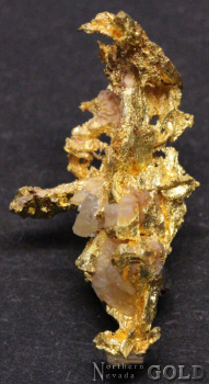 specimen_gold_4897mr