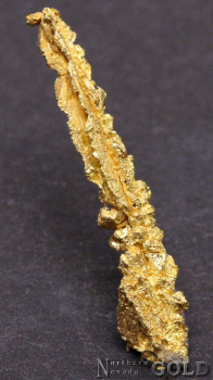 specimen_gold_4902mr-b