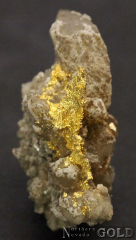 specimen_gold_4996mrco-b