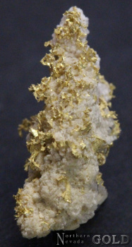 specimen_gold_5349-c