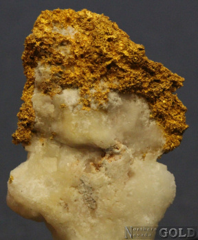 specimen_gold_5364hv-b