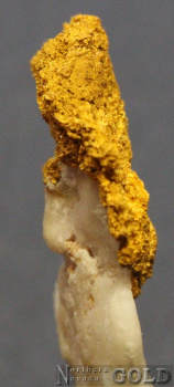 specimen_gold_5364hv-c