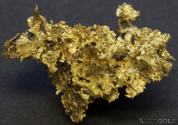 specimen_gold_5365or