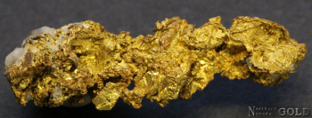 specimen_gold_5366sx-c