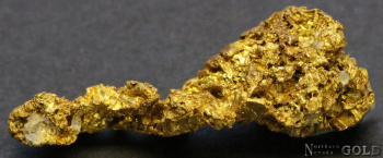 specimen_gold_5366sx