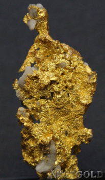 specimen_gold_5367gs-c_1431573049