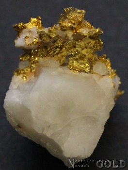 specimen_gold_5368hv-c